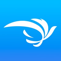 飞鸟快传 vv1.15