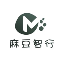 麻豆智行
