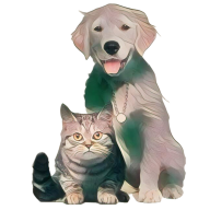 猫狗翻译官(宠物心声翻译)安卓免费版 vV1.0.7
