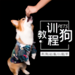 训练狗狗教程