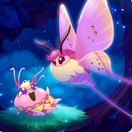 彩翼之星夜