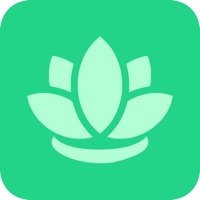 桩者 vv1.0.11