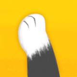 猫爪 v0.0.49