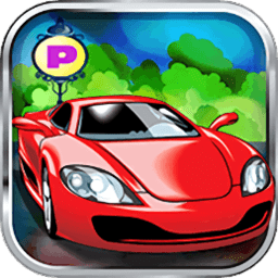 完美停车大师