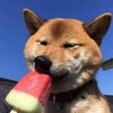 云霄至尊版 v2.0.3