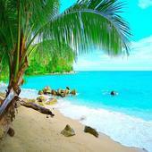 荒岛惊魂官网版