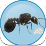 Antkeeper蚂蚁模拟手机版