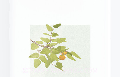 一心院v1.10截图