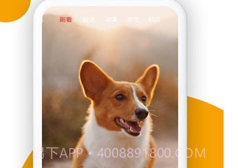 小狗看看v1.0.0.7截图