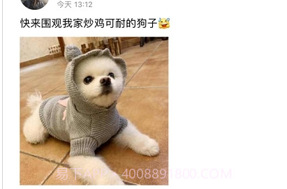 宠乐园( 宠物服务)v1.7截图