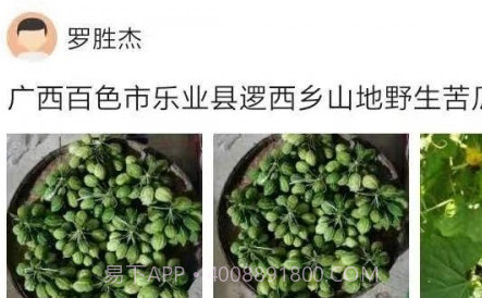 助农通v1.0.13截图