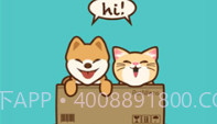 petnfans宠物社交v3.4.16截图