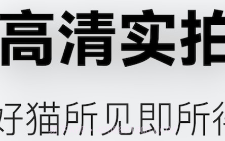 随它v1.0.9截图