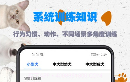 训练狗狗教程v1.0.11截图