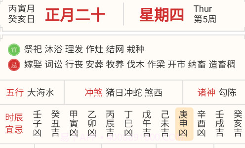 畅享龙运v1.0.10截图