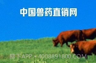兽药直销网v1.0.16截图
