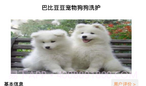 精心狗狗洗护舍v1.10截图