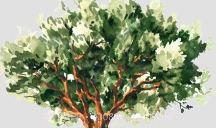 时间与答案v1.0.11截图