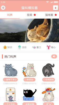 猫叫模拟器v2.9截图