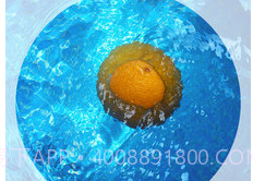 Ocamerav1.7截图