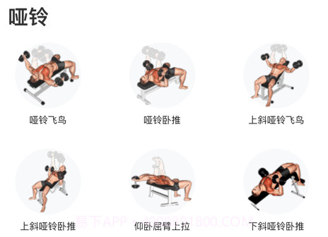 立训v1.13截图