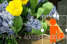 GIF工作室v2.8截图