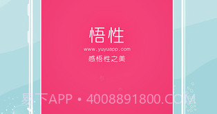 悟性v5.15截图