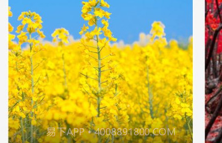 漫野趣行v1.0.10截图
