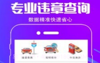 车行违章查询4.3.16截图