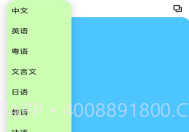 屏幕翻译V1.9截图