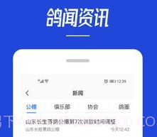 青鸽网v3.6.10截图