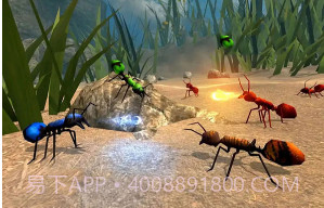 全员加速之疯狂加速v1.19截图