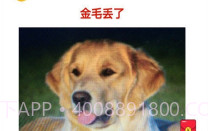 宠物的日记V1.0.6截图
