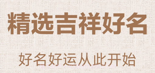 易经国学起名v3.1.12截图