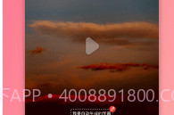 塞宾智麦v2.8.13截图