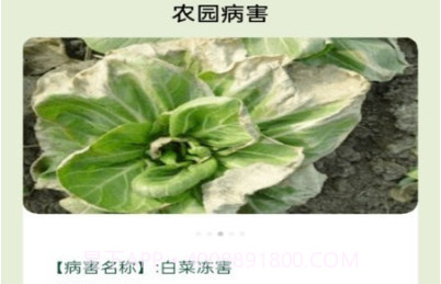 田园手册v1.0.9截图