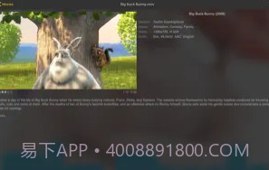 nPlayerv3.12.22截图