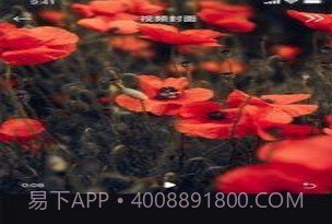 丝瓜编辑v1.0.11截图