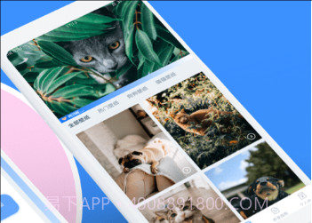 猫咪翻译助手v2.1.15截图