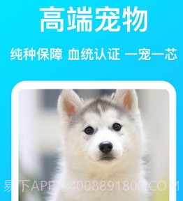 DogBreeds狗品种v1.14截图