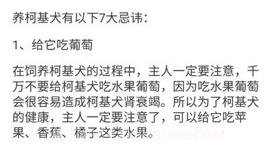 宠物点点v1.4.5截图