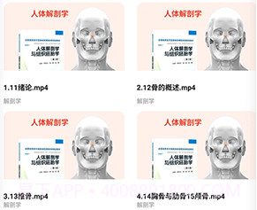 3d人体解剖学三维图谱v1.12截图