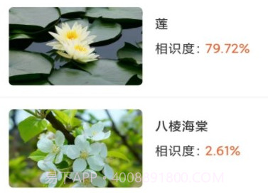 拍照识物全能王v1.2.10截图