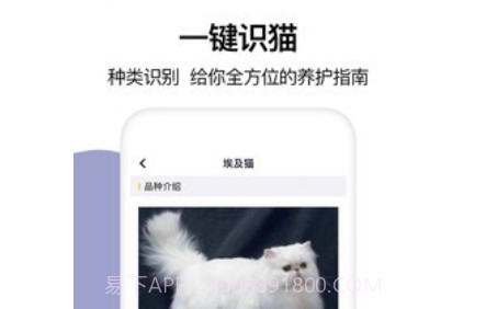 猫语翻译大全v1.13截图
