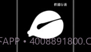 小鲜木鱼v1.0.8截图