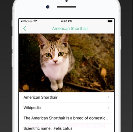 ianimal动物识别v1.13截图