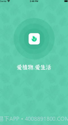 口袋绿植v1.12截图