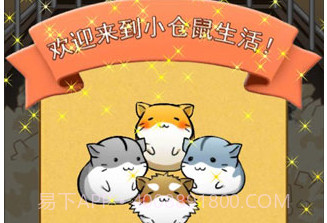 仓鼠的日常v4.6.2v4.6.6截图