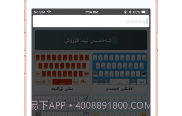 Badam输入法v1.0.18截图