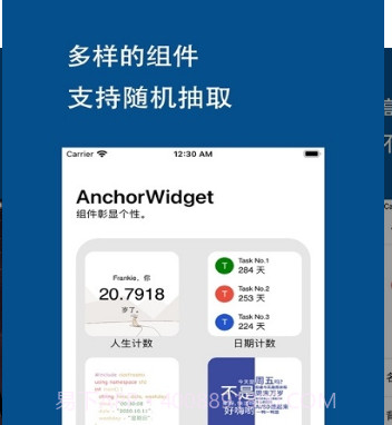 AnchorWidget个性小组件v0.0.13截图